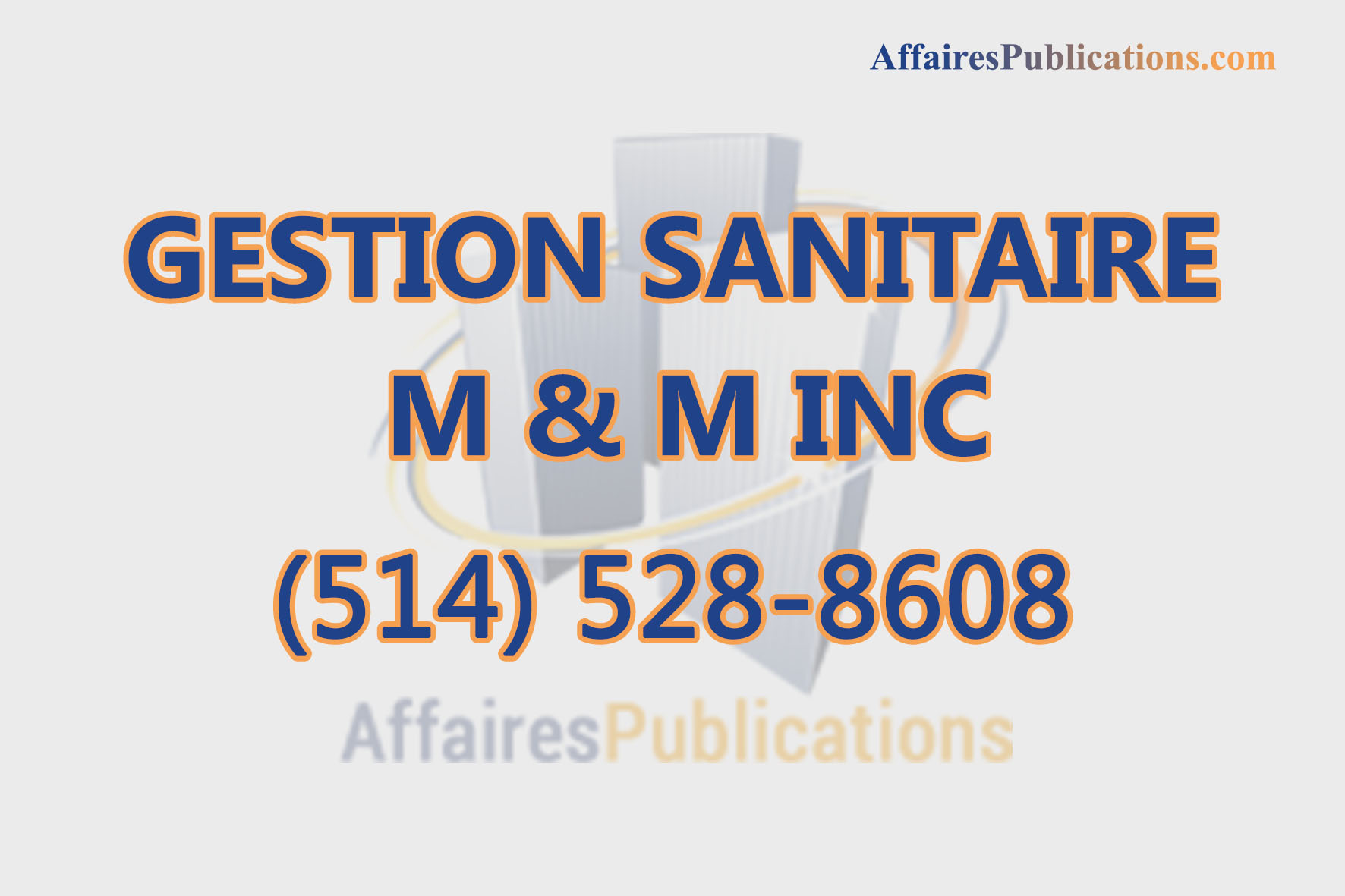 GESTION SANITAIRE M & M INC