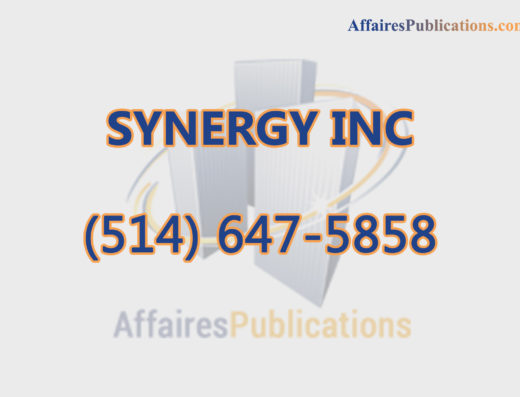 SYNERGY INC