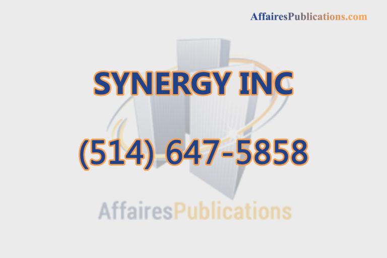 SYNERGY INC