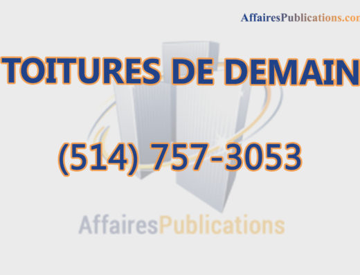 TOITURES DE DEMAIN INC