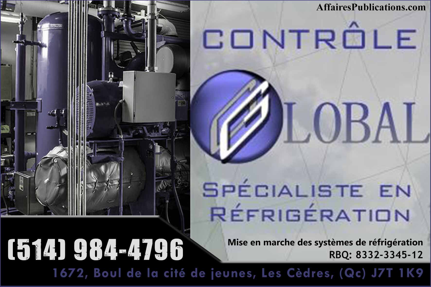 CONTRÔLE GLOBAL INC