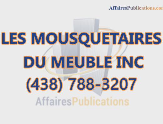 LES MOUSQUETAIRES DU MEUBLE