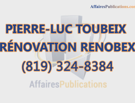 PIERRE-LUC TOUBEIX RÉNOVATION RENOBEX