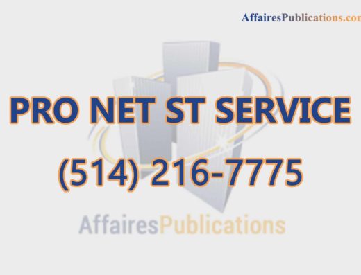 PRO NET ST SERVICE