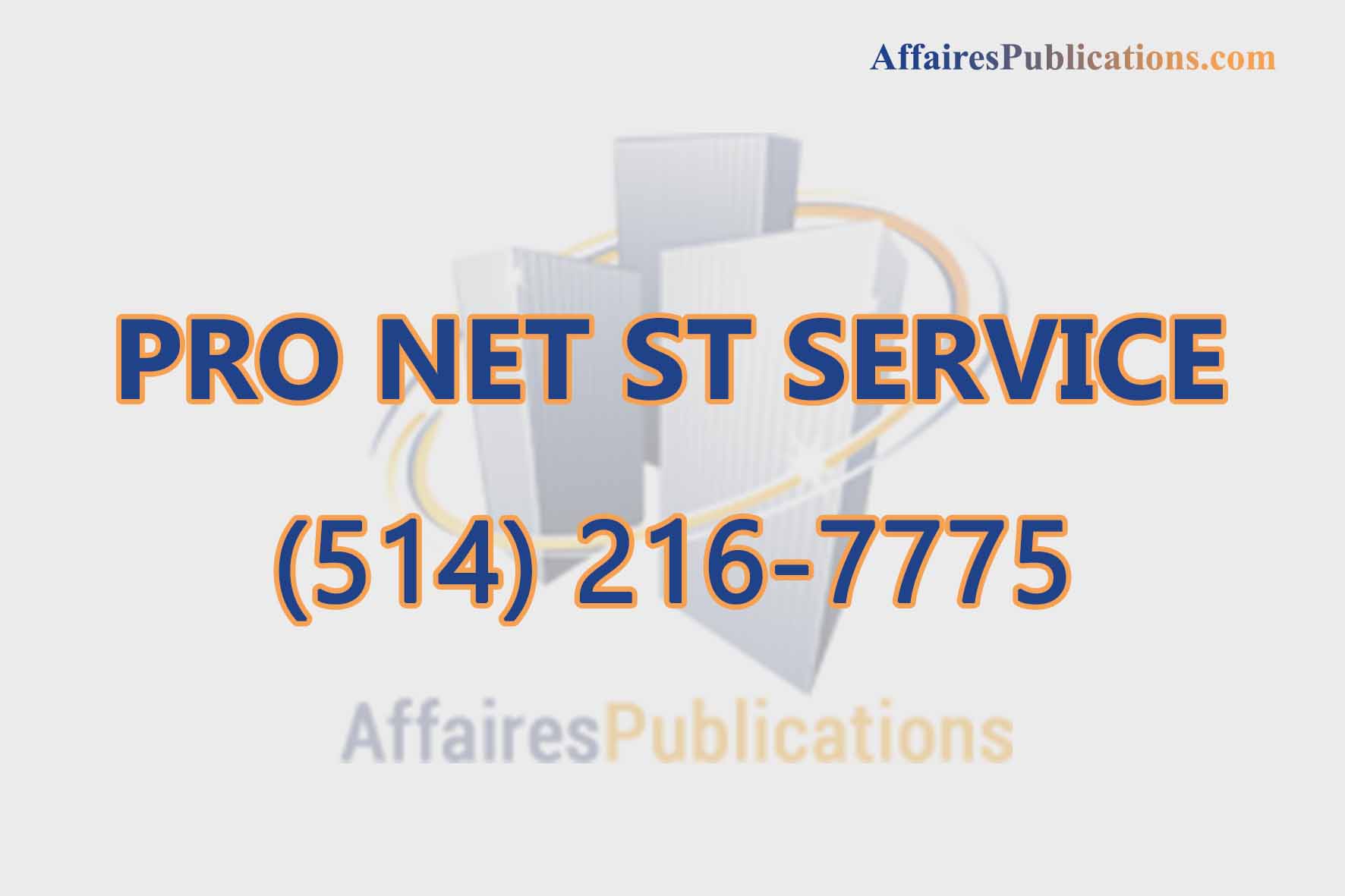 PRO NET ST SERVICE