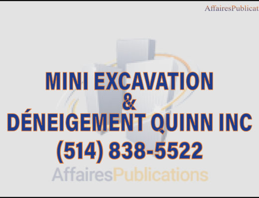 MINI EXCAVATION & DÉNEIGEMENT QUINN INC