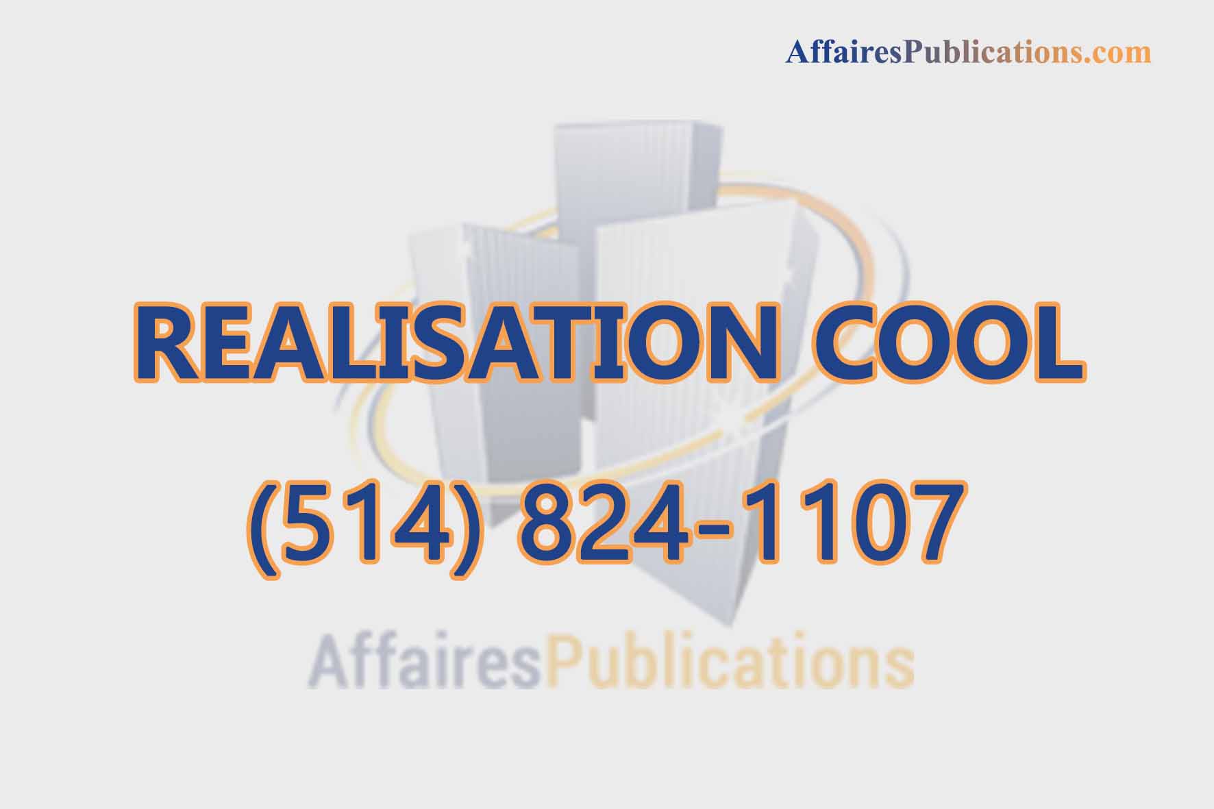 REALISATION COOL INC