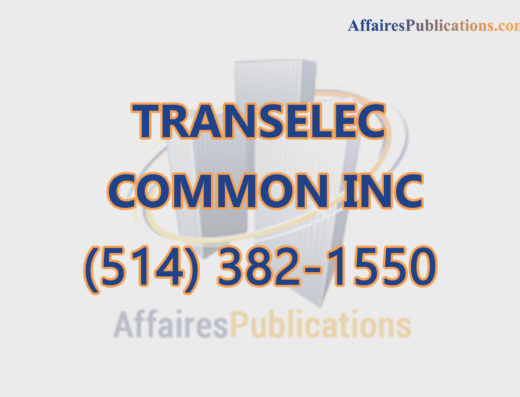 TRANSELEC COMMON INC