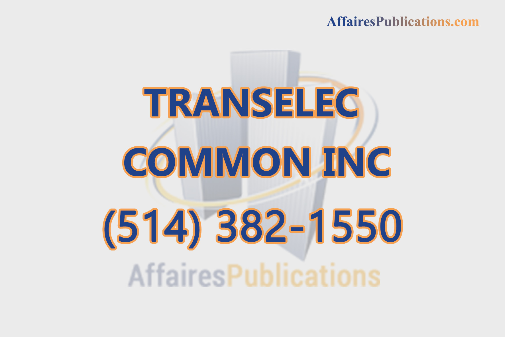 TRANSELEC COMMON INC