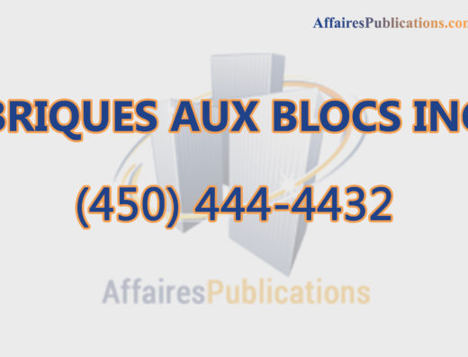 BRIQUES AUX BLOCS INC