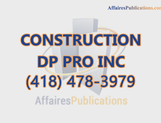 CONSTRUCTION DP PRO INC