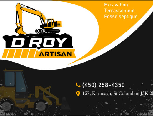 D ROY ARTISAN