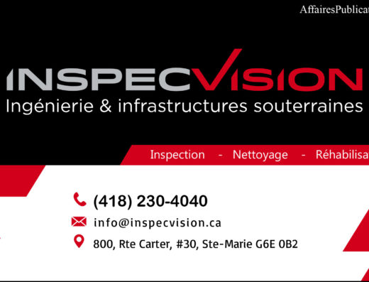 INSPECVISION 3D INC