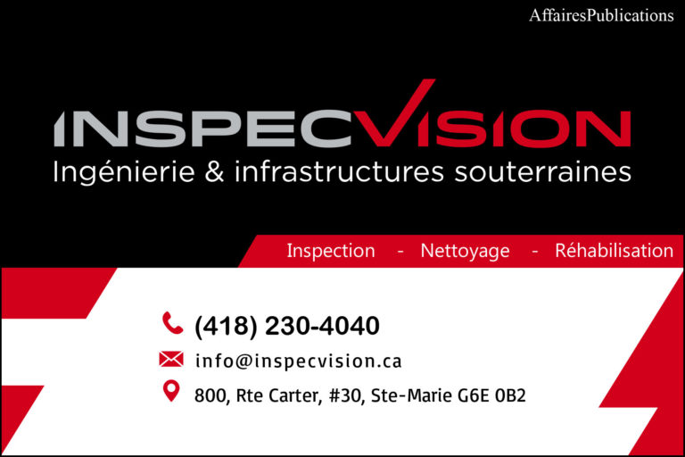 INSPECVISION 3D INC