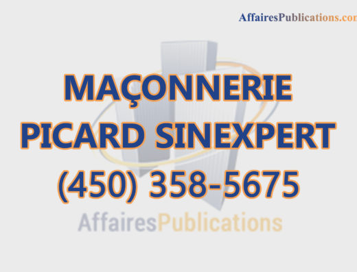 MAÇONNERIE PICARD SINEXPERT