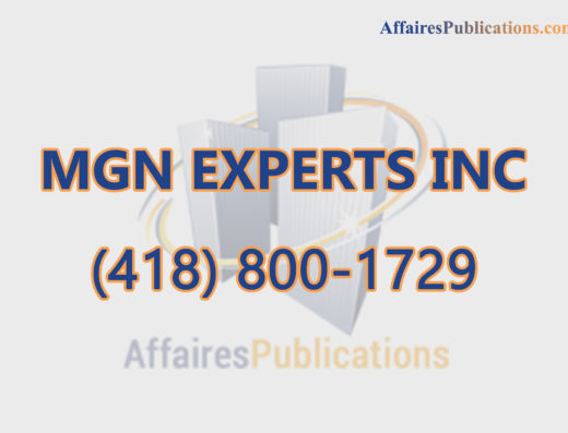MGN EXPERTS INC