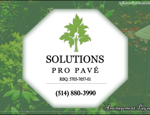 SOLUTIONS PRO PAVÉ