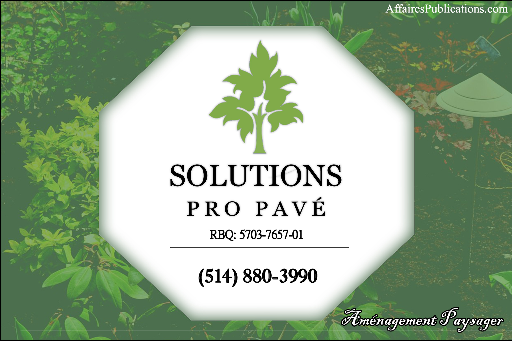 SOLUTIONS PRO PAVÉ