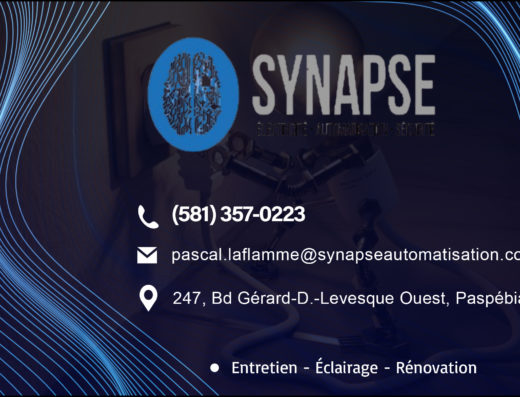 SYNAPSE AUTOMATISATION INC