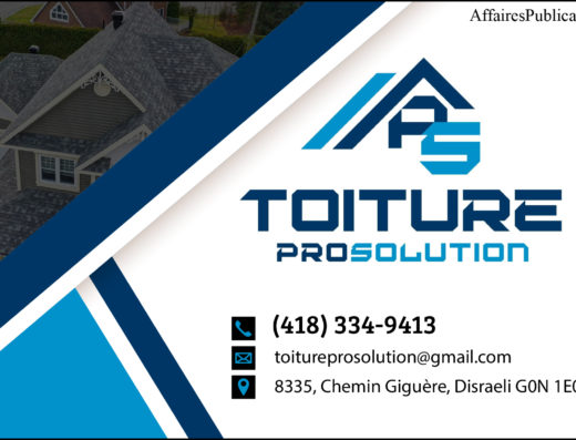 CONSTRUCTION PRO-SOLUTION INC