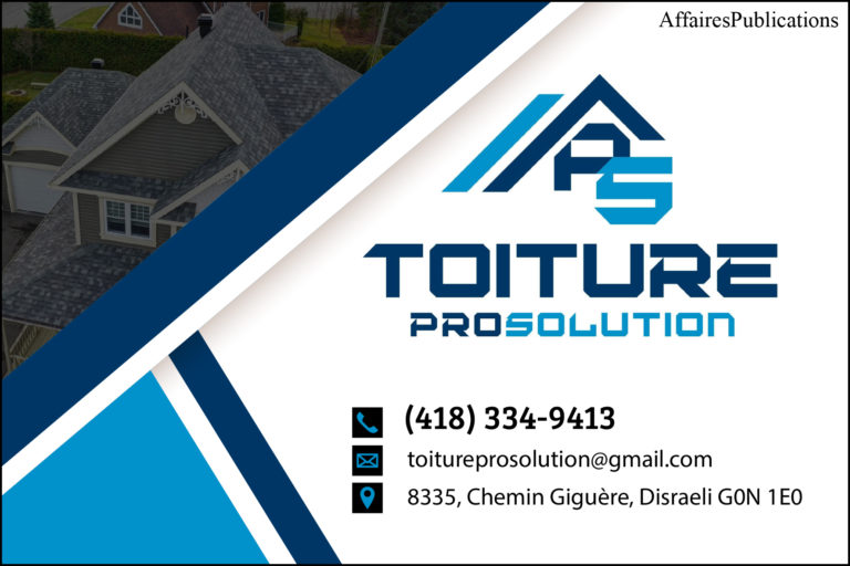 CONSTRUCTION PRO-SOLUTION INC