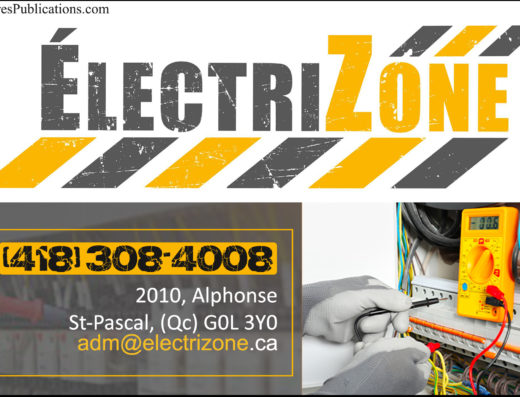 ÉLECTRIZONE INC