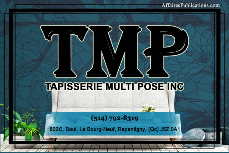 TAPISSERIE MULTI POSE INC