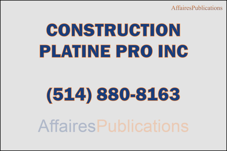 CONSTRUCTION PLATINE PRO