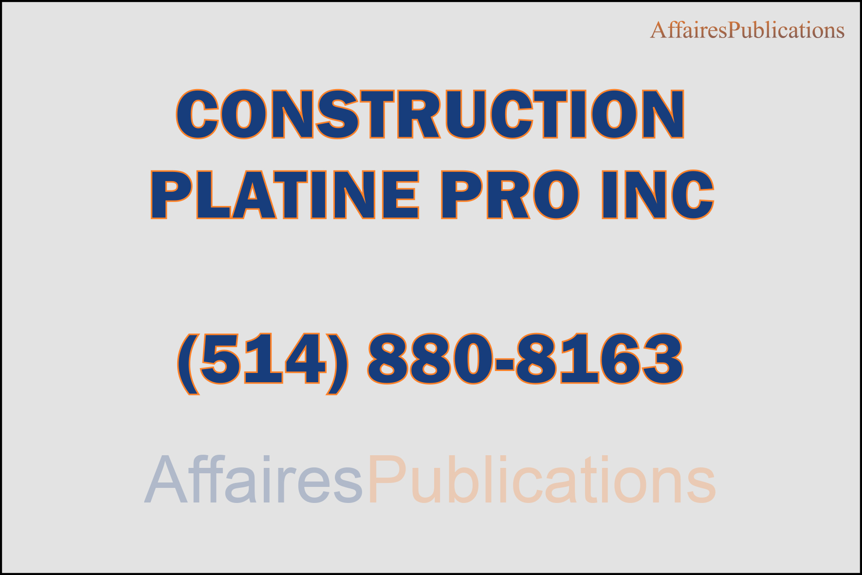 CONSTRUCTION PLATINE PRO