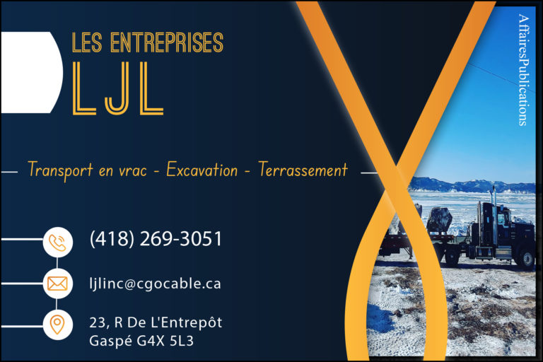 LES ENTREPRISES L.J.L. <br/> 9049-3164 QUÉBEC INC