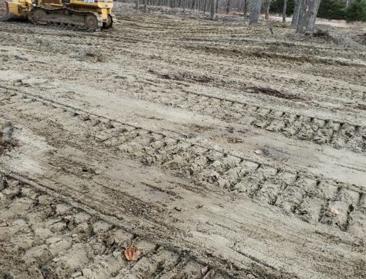 MEO EXCAVATION