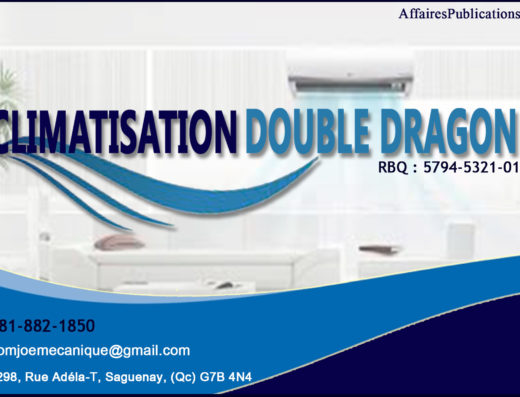 CLIMATISATION DOUBLE DRAGON