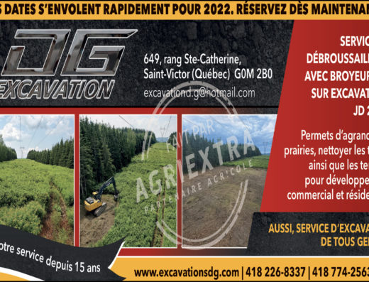 EXCAVATION DG