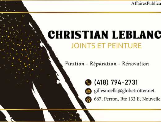 CHRISTIAN LEBLANC JOINTS ET PEINTURE