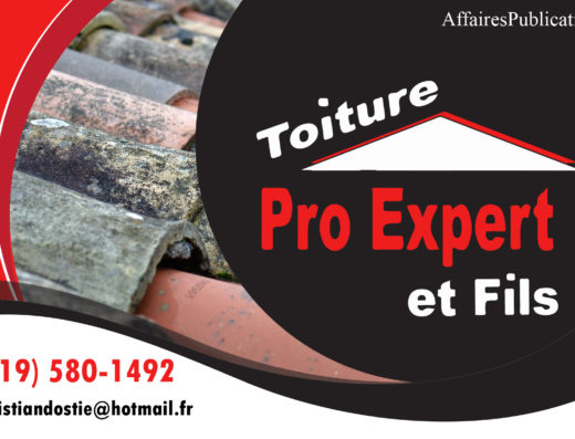 TOITURE PRO EXPERT ET FILS INC