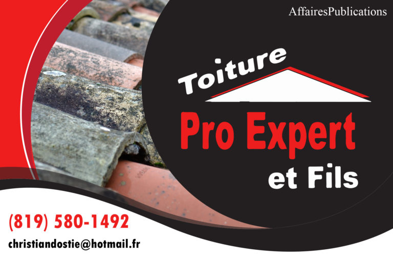 TOITURE PRO EXPERT ET FILS INC