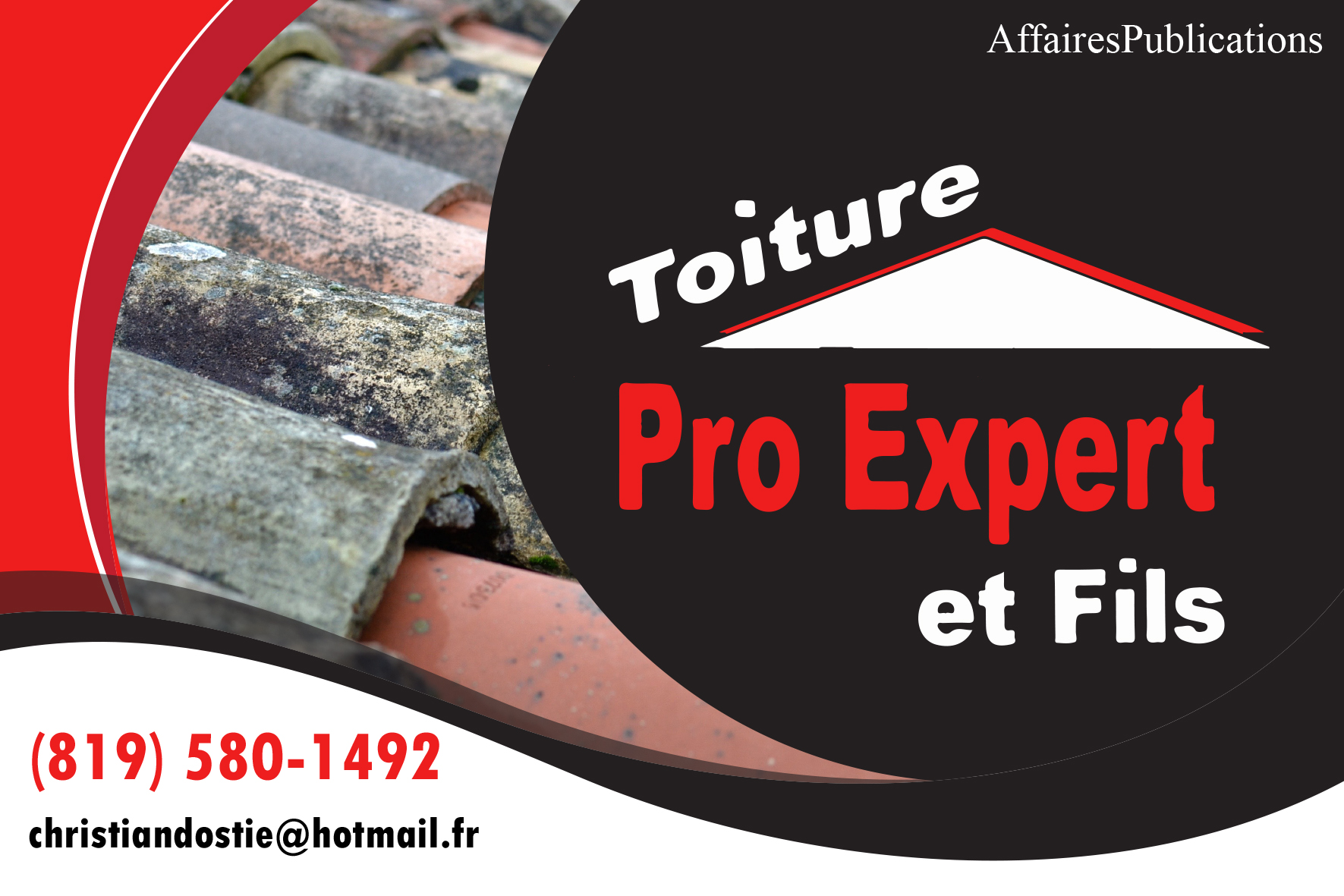 TOITURE PRO EXPERT ET FILS INC