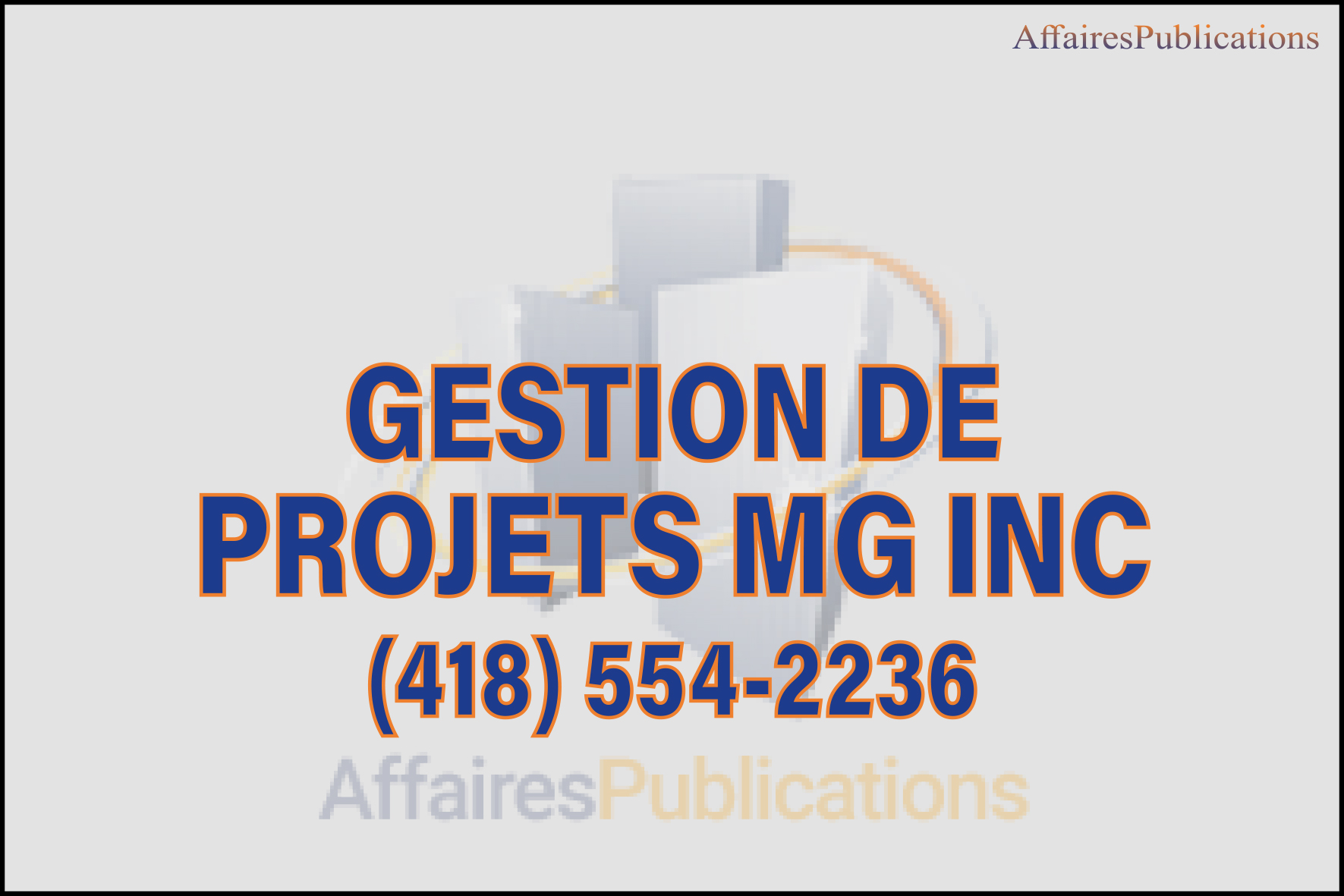 GESTION DE PROJETS MG INC