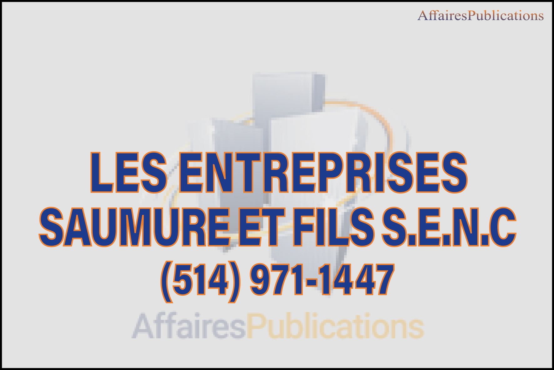 LES ENTREPRISES SAUMURE ET FILS S.E.N.C