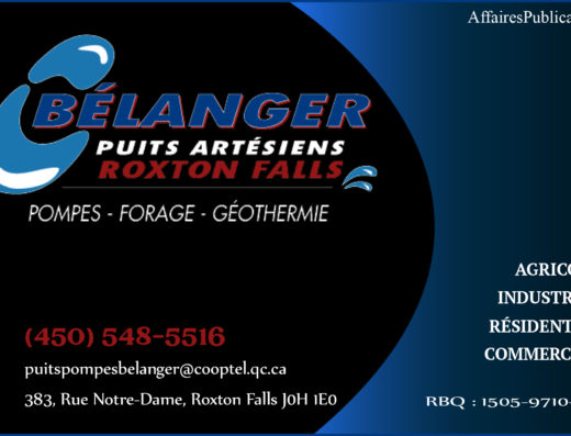 CAMILLE BÉLANGER INC