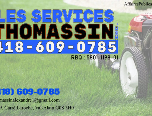 LES SERVICES THOMASSIN INC