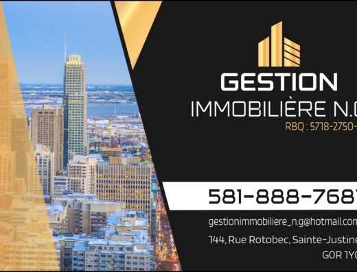 GESTION IMMOBILIÈRE N.G INC