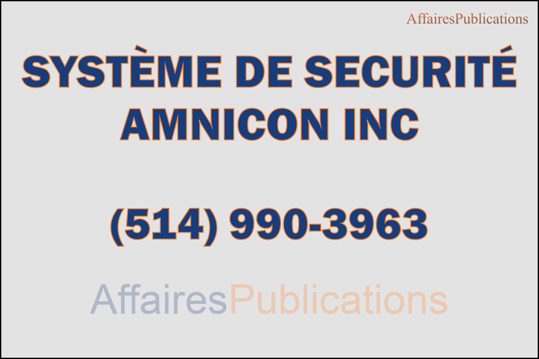 SYSTÈME DE SECURITÉ AMNICON