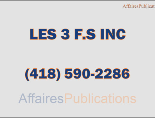 LES 3 F.S INC