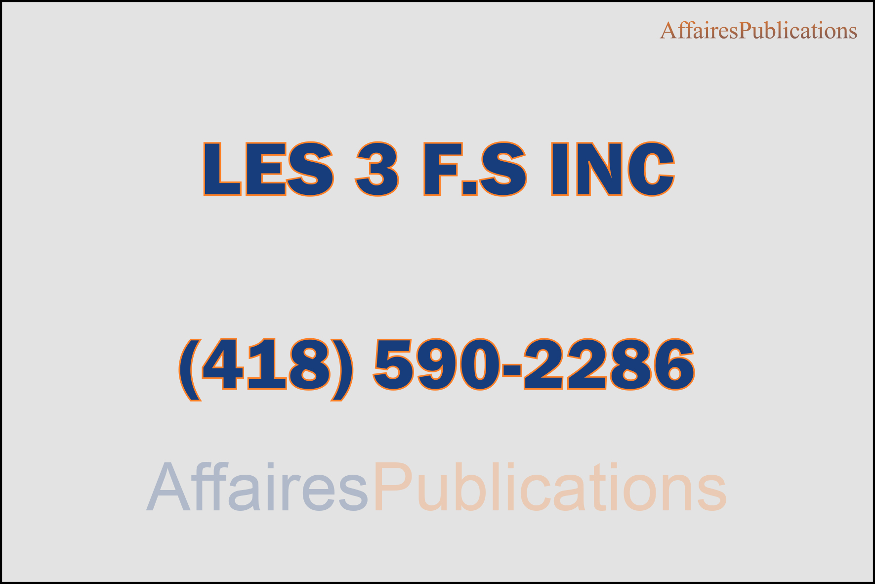 LES 3 F.S INC