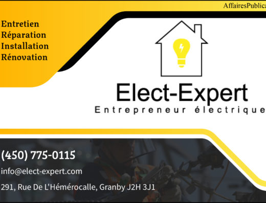 ÉLECT-EXPERT INC