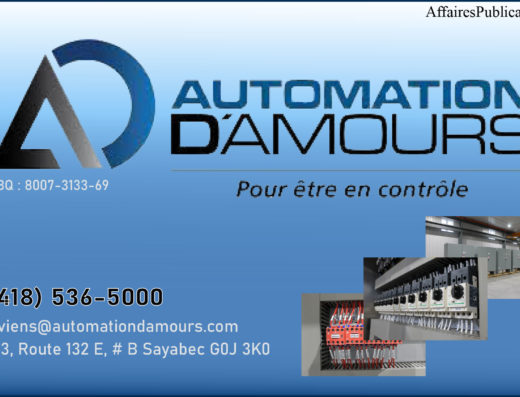 AUTOMATION D&rsquo;AMOUR INC