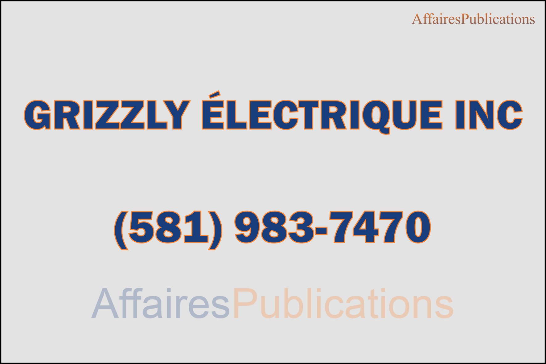 GRIZZLY ÉLECTRIQUE INC