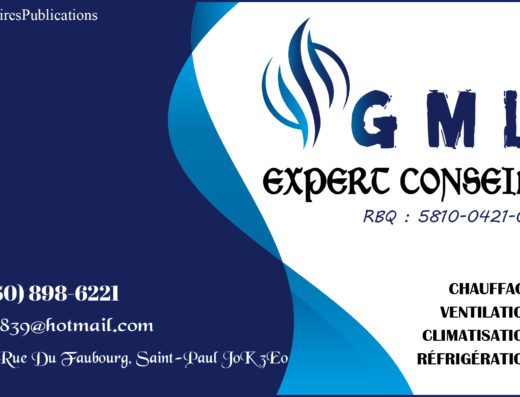 EXPERT CONSEIL GML INC