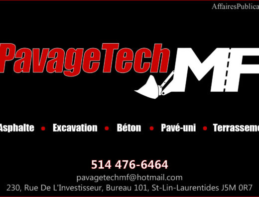 PAVAGETECH MF INC